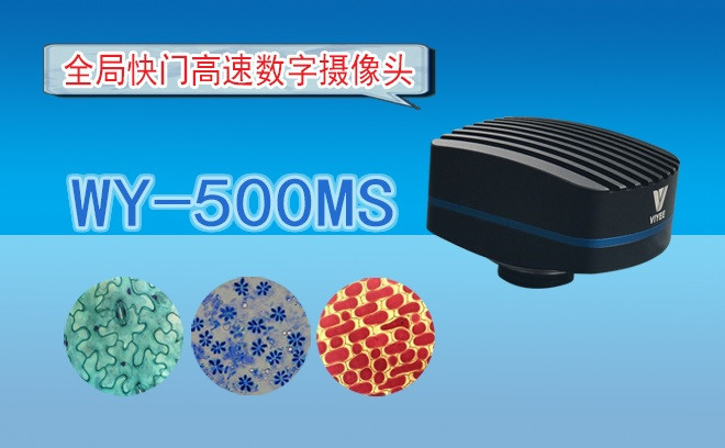生命科學91好色先生TV的觀察方式