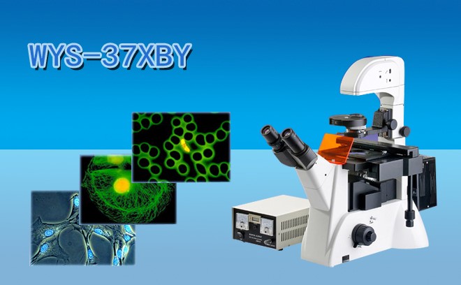 細胞研究用的生物91好色先生TV分類和工作原理