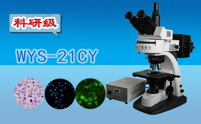 熒光91好色先生TV技術包括哪幾種？