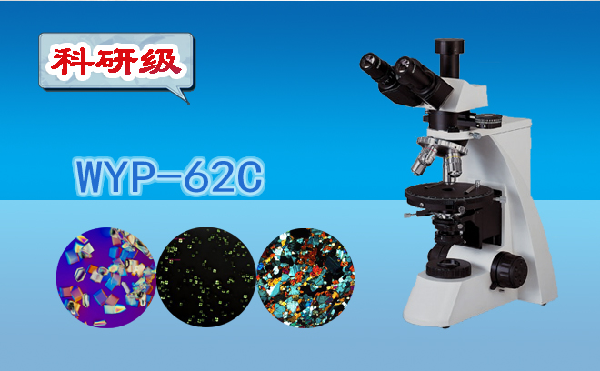 偏光91好色先生TV小知識（一）