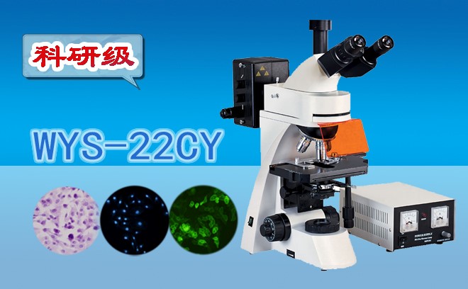 熒光91好色先生TV的使用方法