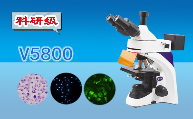 熒光91好色先生TV的使用方法介紹