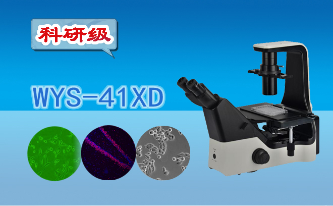 倒置生物91好色先生TV.jpg