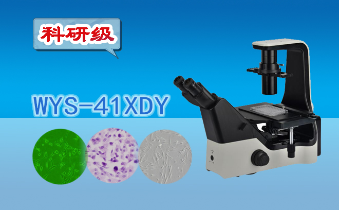 倒置熒光91好色先生TV.jpg