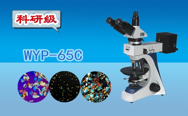 偏光91好色先生TV.jpg