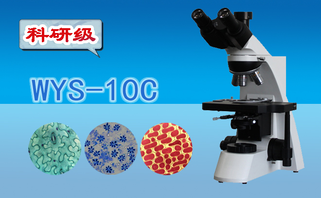 生物91好色先生TV.jpg